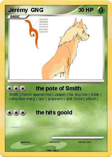 Pokemon Jérémy  GNG