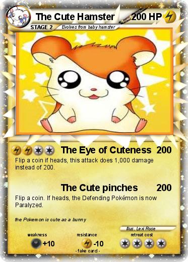 Pokemon The Cute Hamster