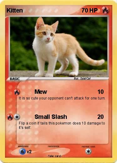 Pokemon Kitten