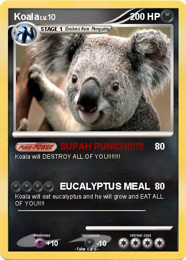 Pokemon Koala