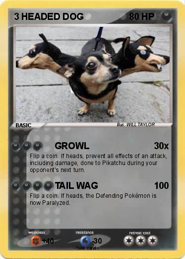 Pokemon 3 HEADED DOG