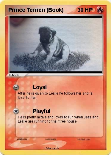 Pokemon Prince Terrien (Book)