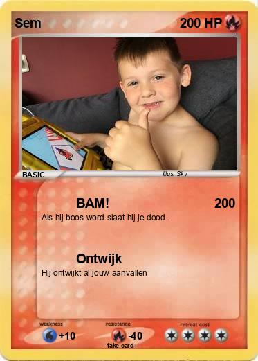 Pokemon Sem