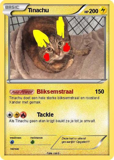 Pokemon Tinachu