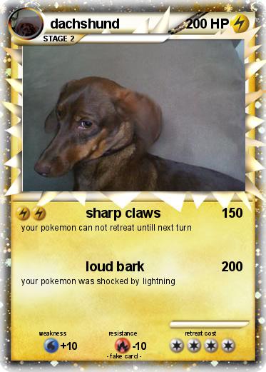 Pokemon dachshund