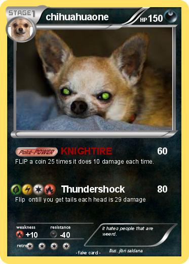 Pokemon chihuahuaone