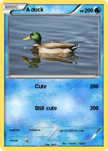 Pokemon A duck