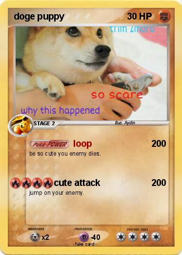 Pokemon doge puppy
