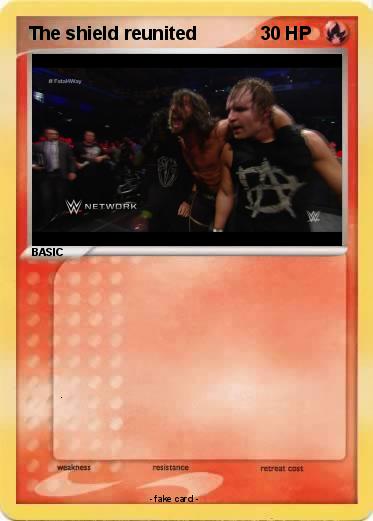 Pokemon The shield reunited