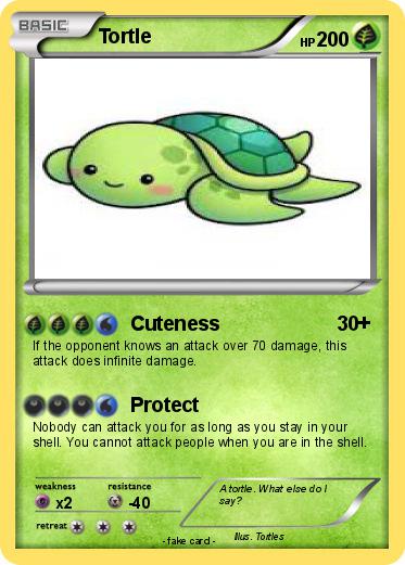 Pokemon Tortle