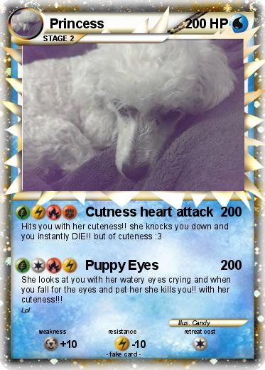 Pokemon Princess Pokemon Princess