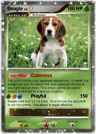 Pokemon Beagle