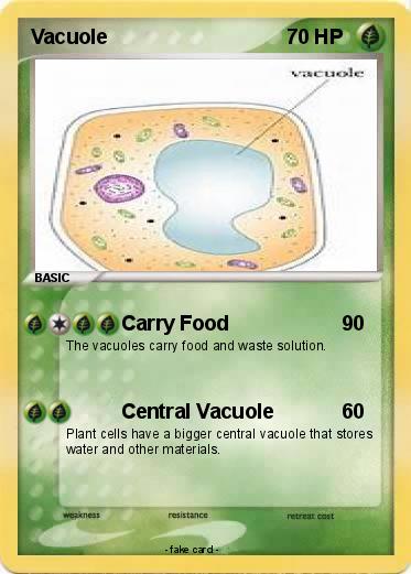 Pokemon Vacuole