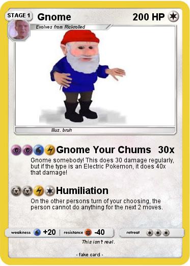 Pokemon Gnome