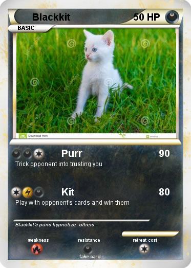 Pokemon Blackkit