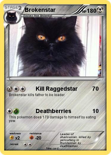 Pokemon Brokenstar