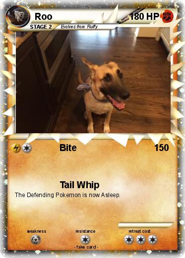 Pokemon Roo