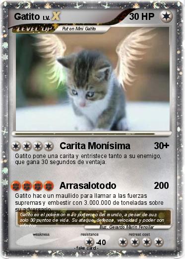 Pokemon Gatito