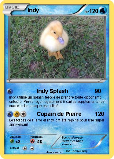Pokemon Indy