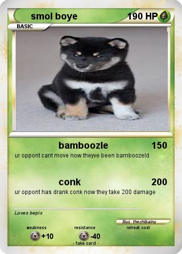 Pokemon smol boye