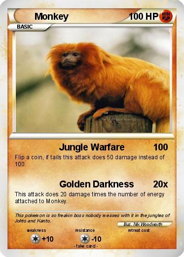 Pokemon Monkey