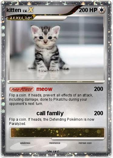 Pokemon kitten