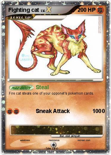 Pokemon Fighting cat