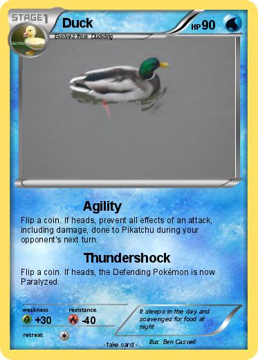 Pokemon Duck