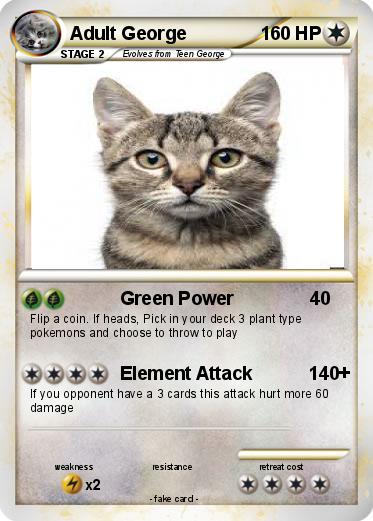 Pokemon Adult George