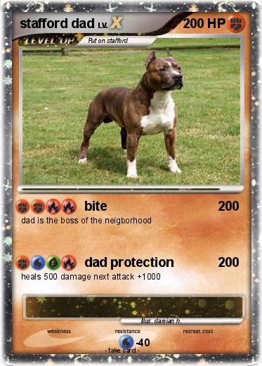 Pokemon stafford dad