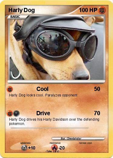 Pokemon Harly Dog