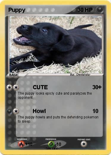 Pokemon Puppy