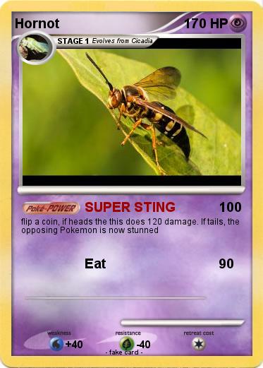 Pokemon Hornot