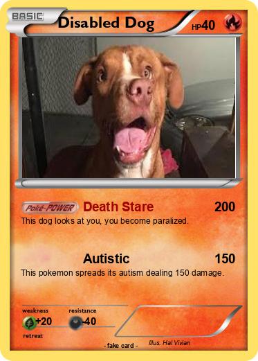 Pokemon Disabled Dog