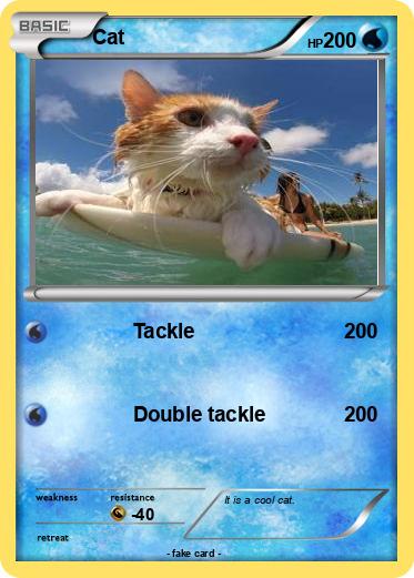 Pokemon Cat
