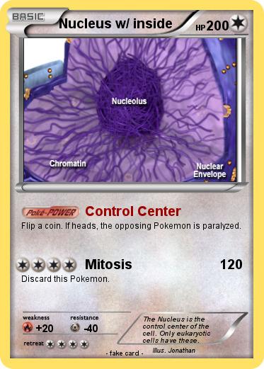 Pokemon Nucleus w/ inside