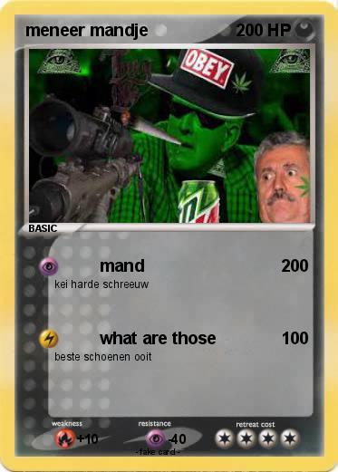 Pokemon meneer mandje