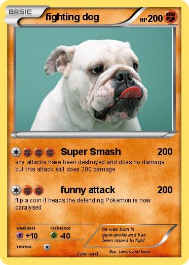 Pokemon fighting dog