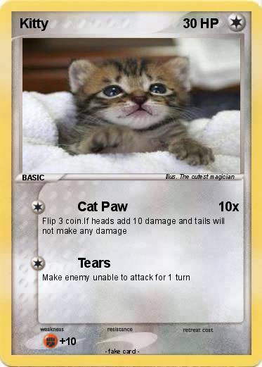 Pokemon Kitty