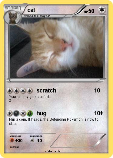 Pokemon cat