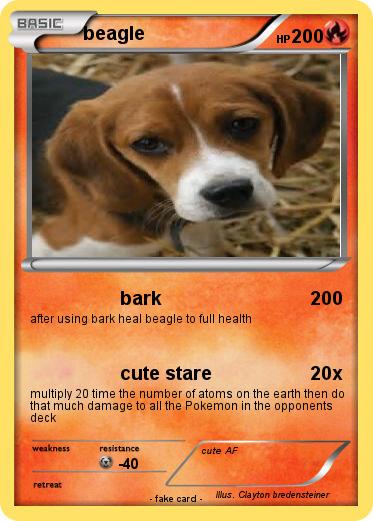 Pokemon beagle