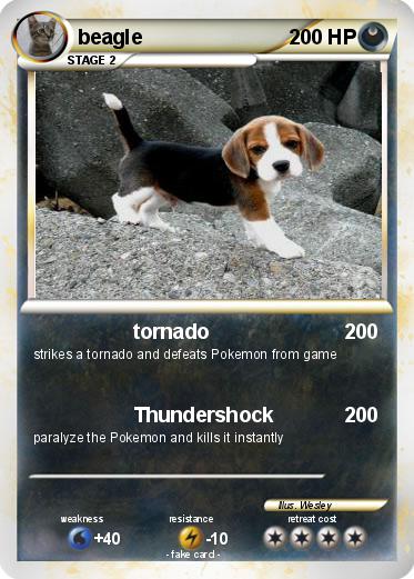Pokemon beagle