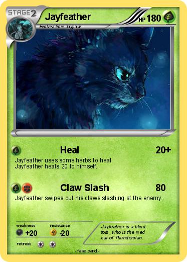 Pokemon Jayfeather