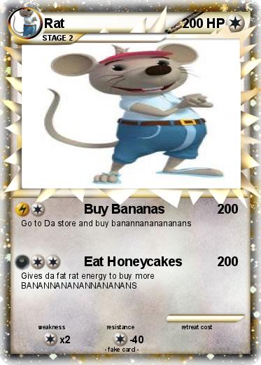 Pokemon Rat