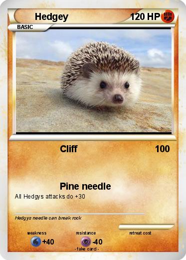Pokemon Hedgey