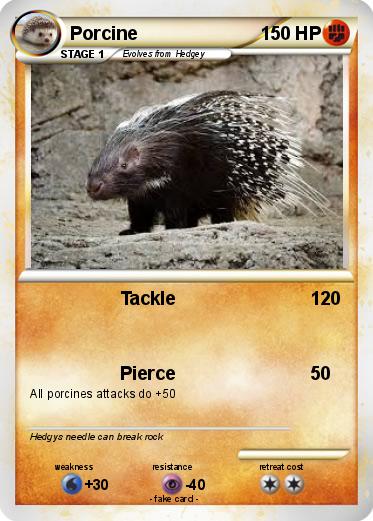 Pokemon Porcine
