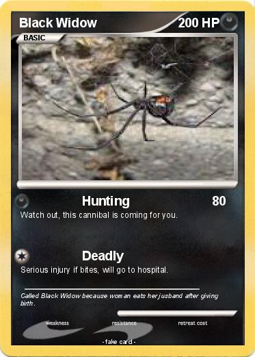 Pokemon Black Widow