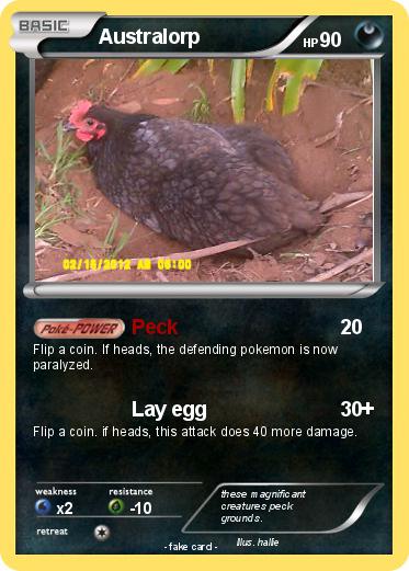 Pokemon Australorp