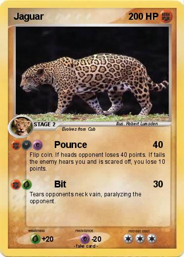 Pokemon Jaguar