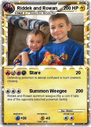Pokemon Riddek and Rowan